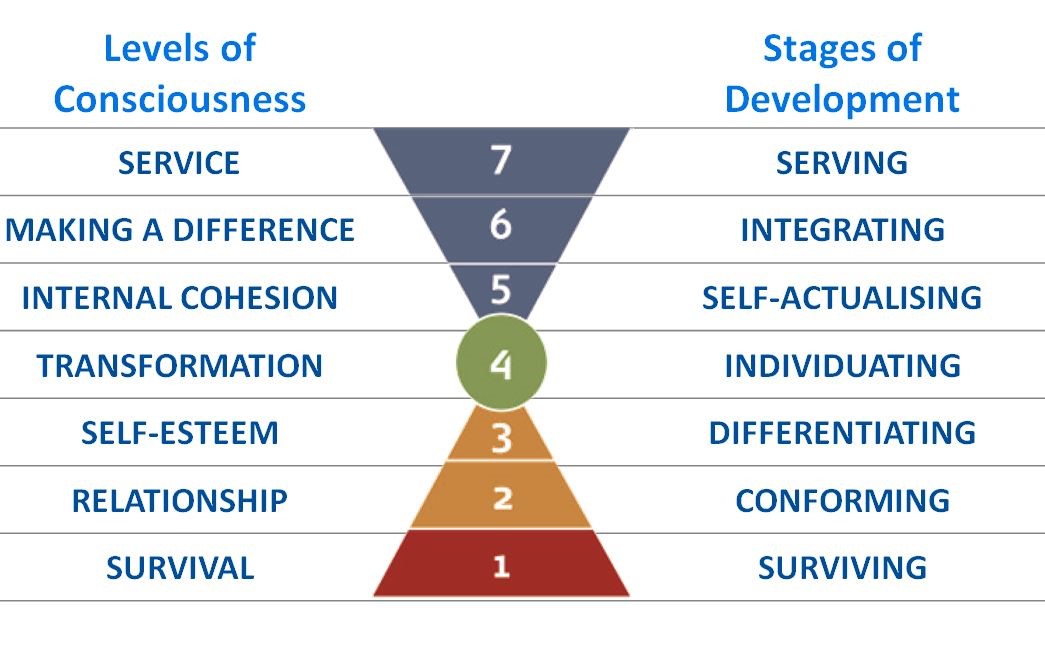 Evolutionary Coaching: A Values-Based by Barrett, Richard