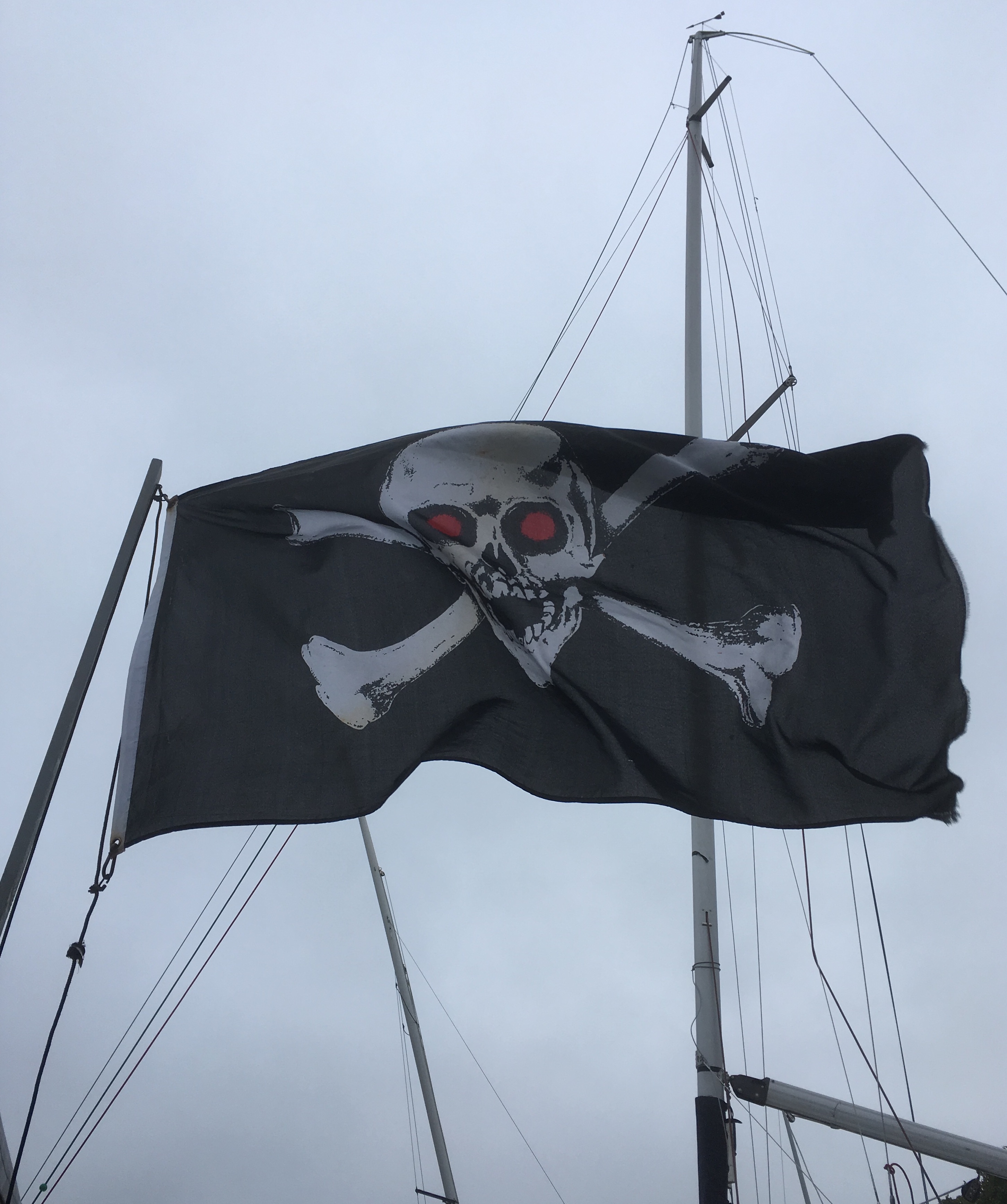 Piracy – black hearted or wholehearted?